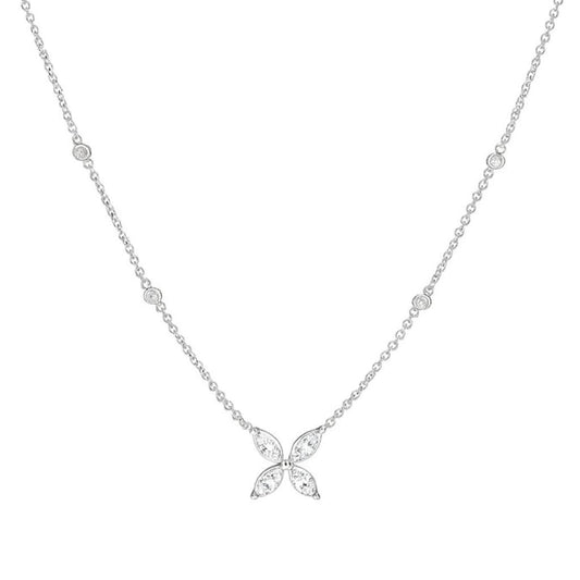 שרשרת מרקיזות